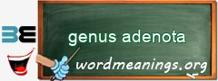 WordMeaning blackboard for genus adenota